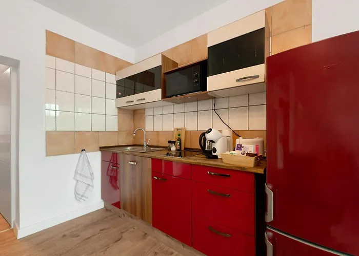 公寓 Gemuetliche In Reimsbach *